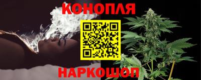 сатива Кунгур